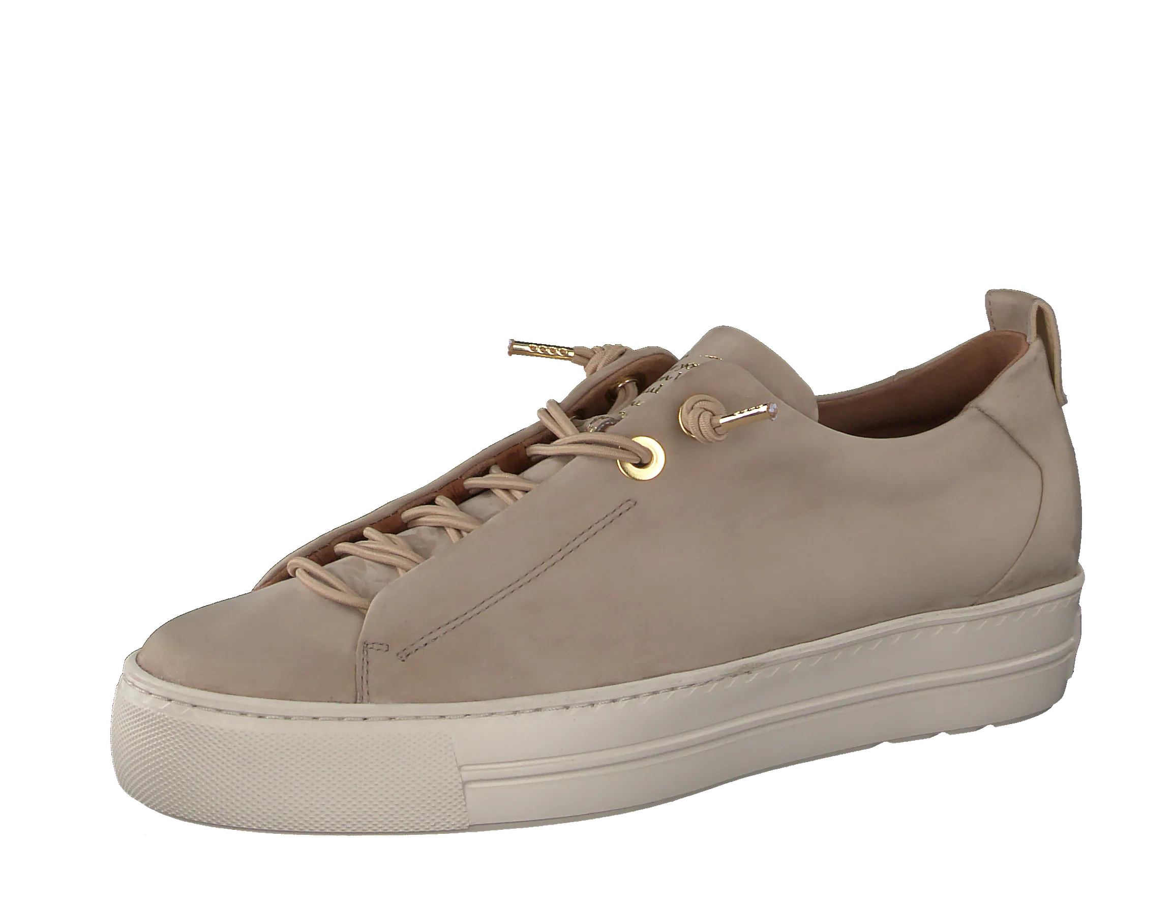 Paul Green 5017165 - Trainer