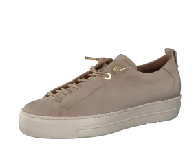 Paul Green 5017165 - Trainer