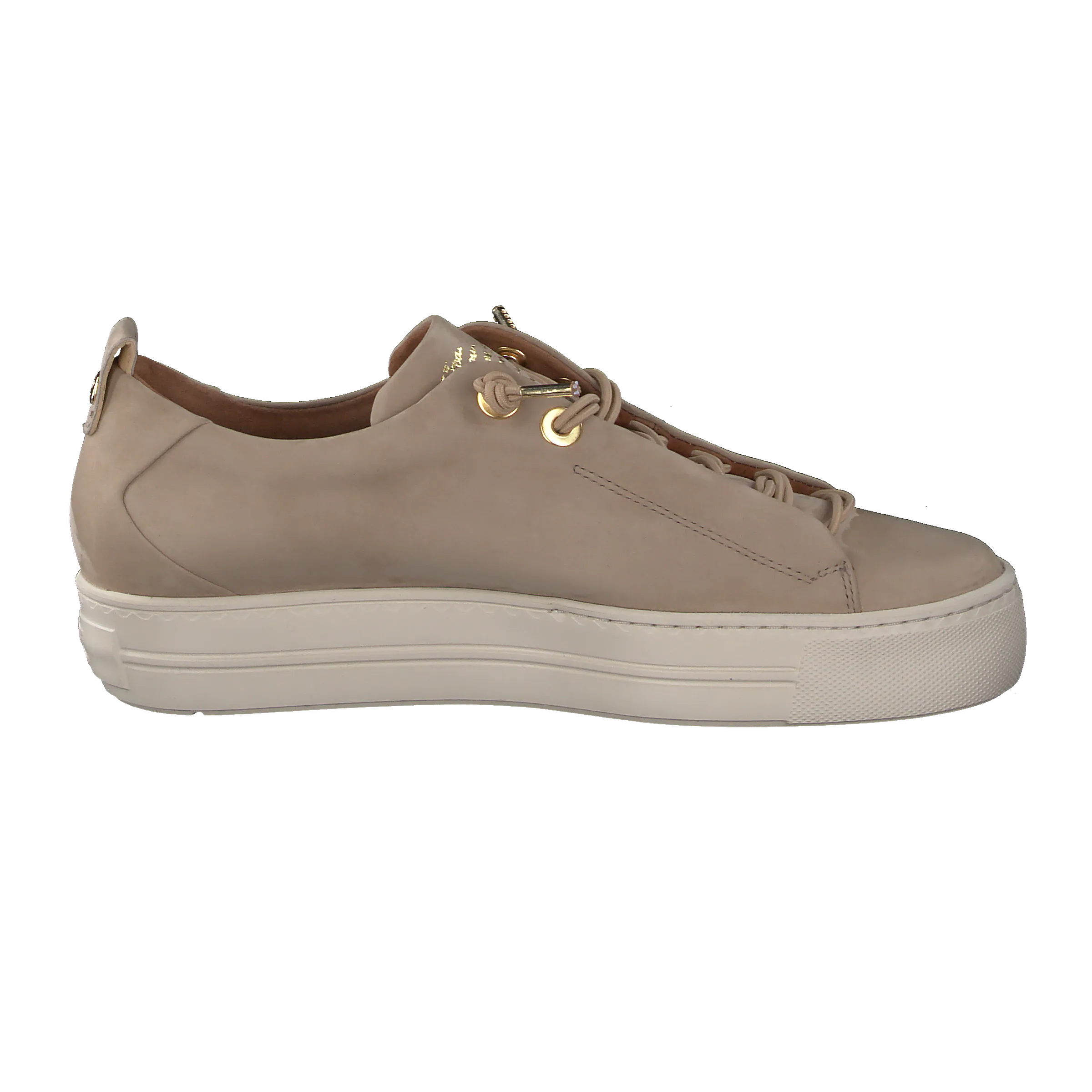 Paul Green 5017165 - Trainer